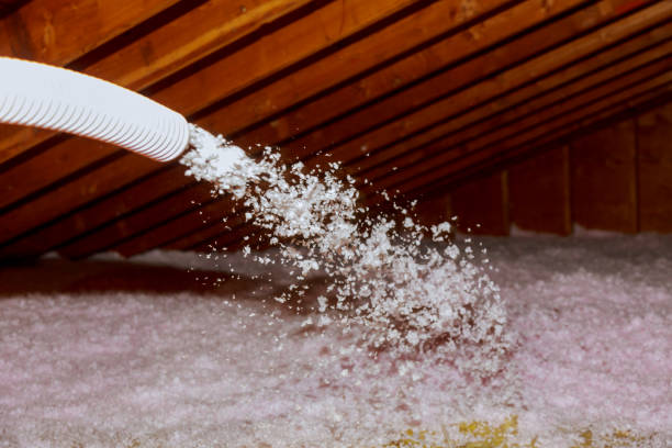 Best Crawl Space Insulation  in East Williston, NY